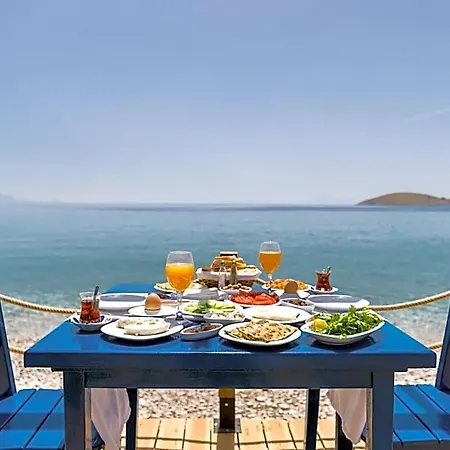 Karia Palamutbuekue Ξενοδοχείο *
